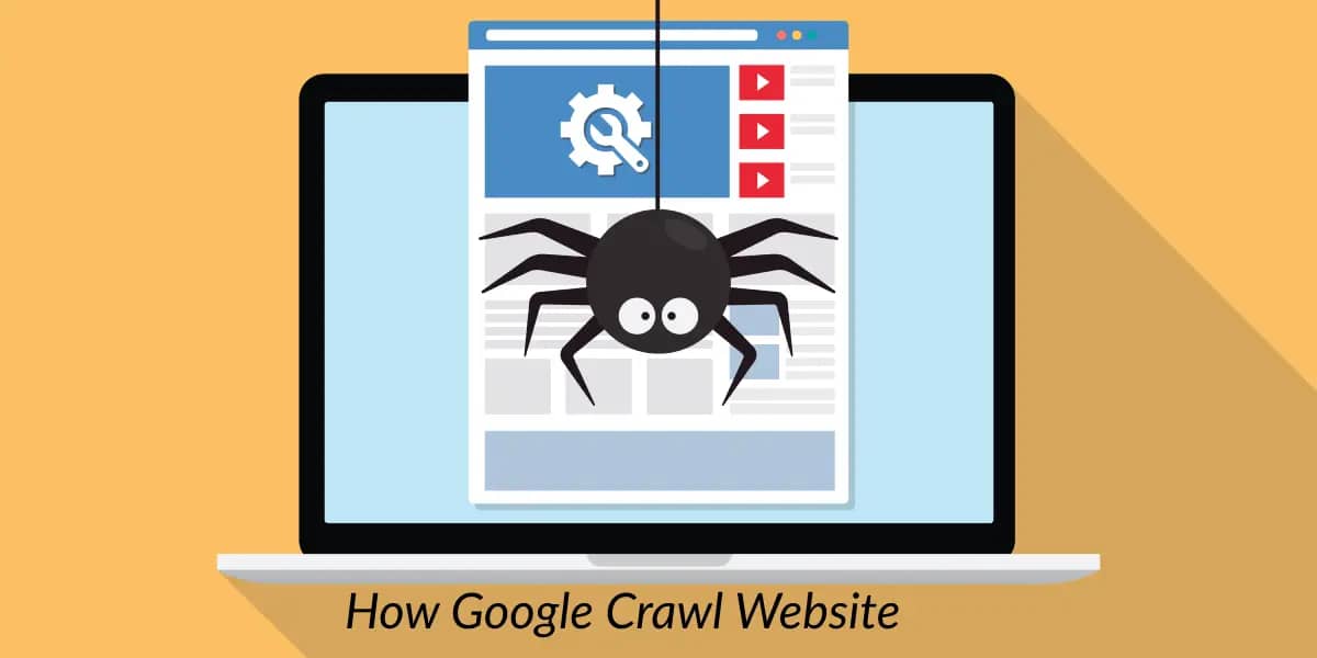 how google crawl website